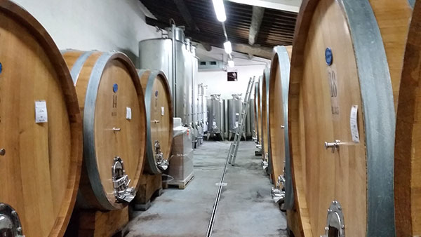 Bottaia Tenimenti D'Alessandro