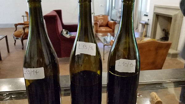 Vini Tenimenti D'Alessandro