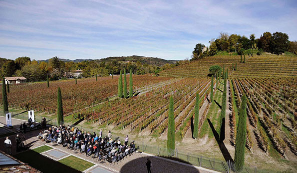 Jazz & Wine of Peace