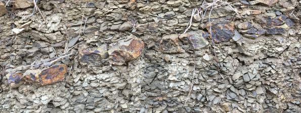 Ponca_Flysch_di_Oslavia