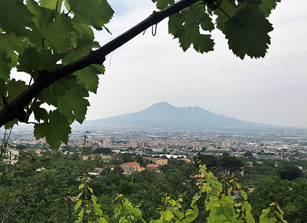 Il Vesuvio visto da Corbara
