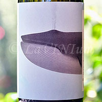 Bro' Bianco 2017 Noelia Ricci