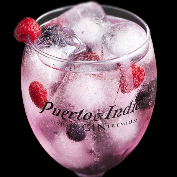 Calice di gin Puerto Indias Rosé