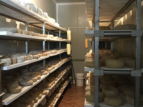 Caseificio Savoia a Roccabascerana