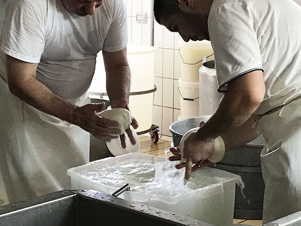 Lavorazione formaggi