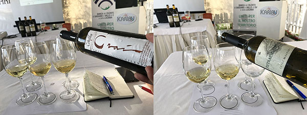 1) Fiano Crai della Tenuta Cobellis 2) Fiano Pietraincatenata di Luigi Maffini