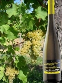 Friuli Colli Orientali Bianco Canto 2016 Cantarutti Alfieri