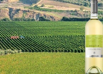 Melissa Greco Bianco Asylia Librandi