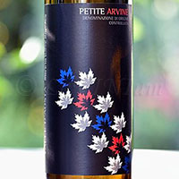Vallée d'Aoste Petite Arvine 2016 Feudo di San Maurizio