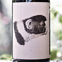 Romagna Sangiovese Superiore Predappio Godenza 2016 Noelia Ricci