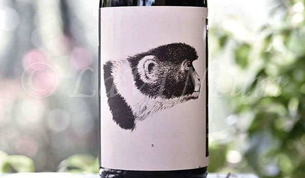 Romagna Sangiovese Superiore Predappio Godenza 2016 Noelia Ricci