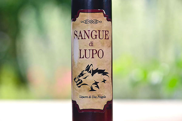 sangue di lupo
