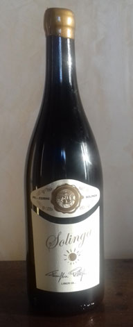 Solinga 2016 Franco Pellegrini