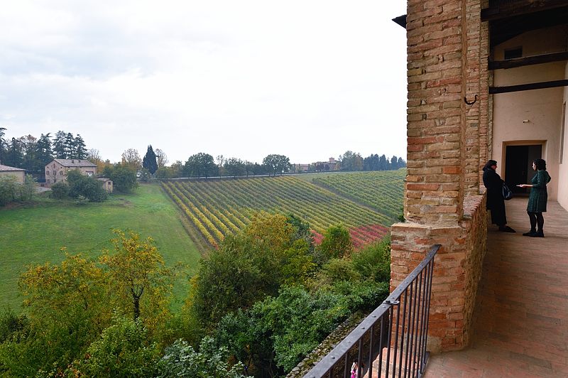 Panorama sui vigneti dalla terrazza del castello