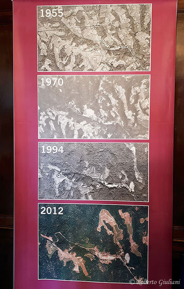 Le immagini aeree dei vigneti a Boca nell'arco di 57 anni