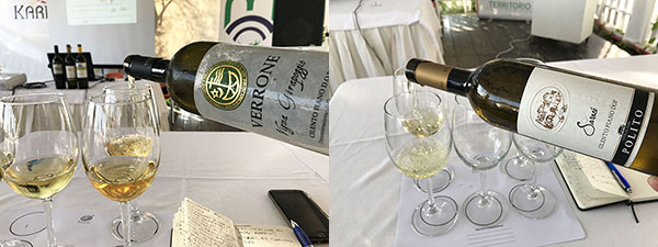 1) Fiano Vigna Girapoggio azienda Verrone 2) Fiano Saracé azienda Polito