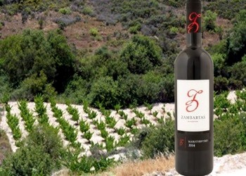 Maratheftiko 2014 Zambartas