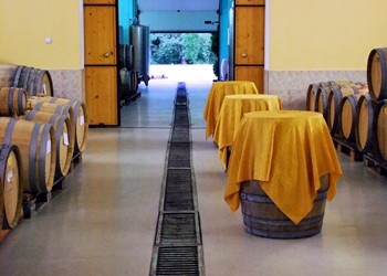Cantina Borovitza