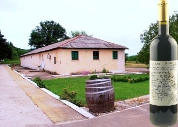 Ogy's Legacy 2013 Borovitza