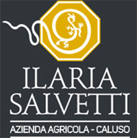 Logo Ilaria Salvetti