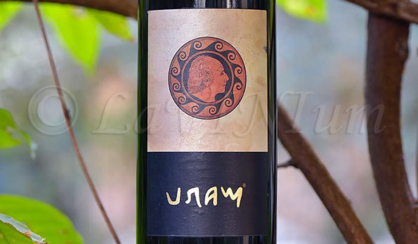 Maru Rosso 2011 Fattoria Lucciano