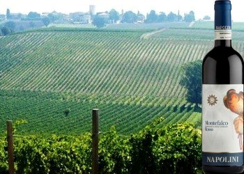 Montefalco Rosso Napolini