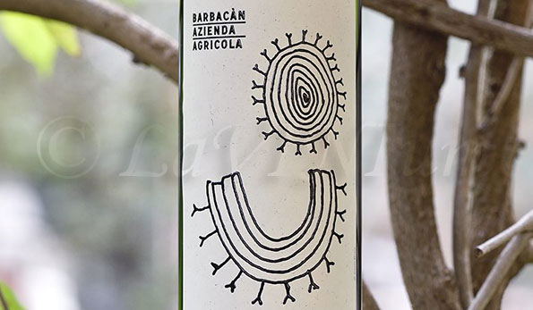 Rosso di Valtellina 2017 Barbacàn