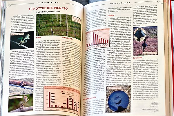 Vitenda 2019 articoli