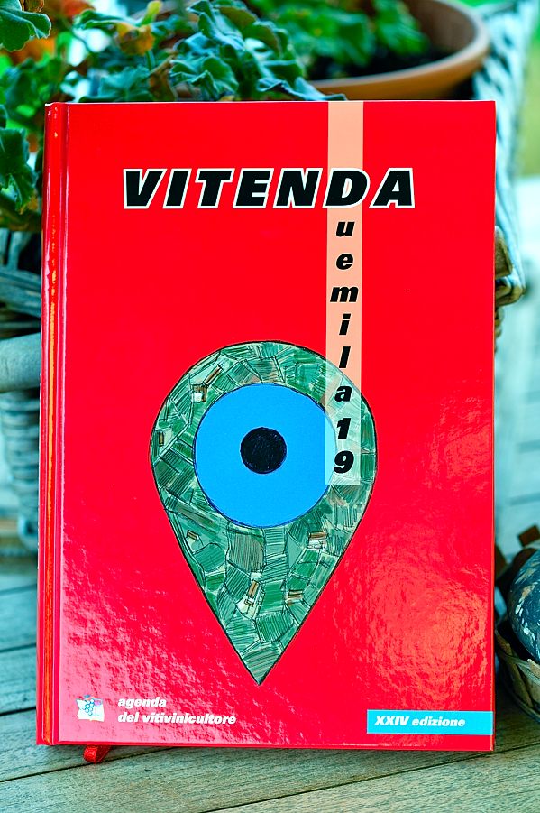 Vitenda 2019
