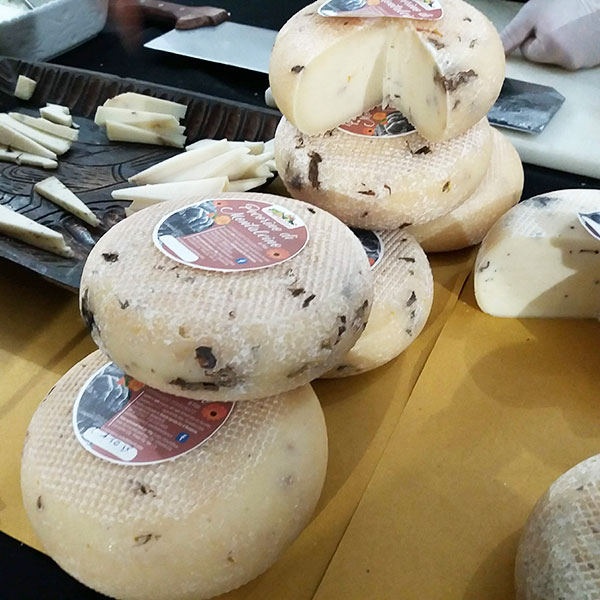 I formaggi dell'azienda agricola Fior di Montalcino