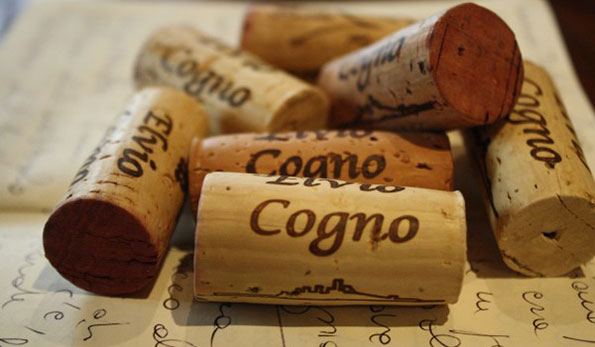 Sugheri azienda Cogno