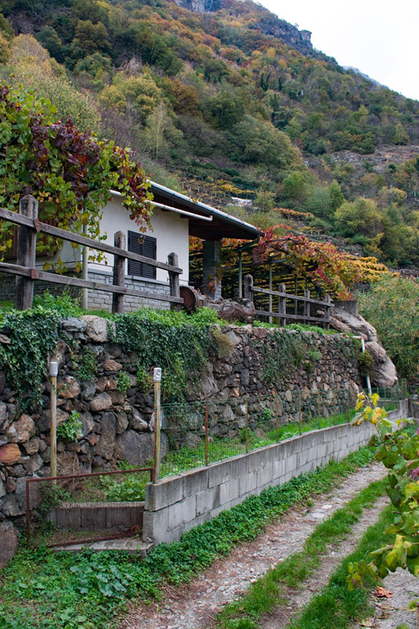 Architettura caremese
