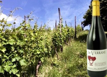 Barbera del Piemonte vivace ”Le Verrane” di Bera Vittorio & Figli