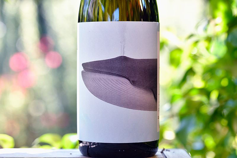 Bro' Bianco 2017 Noelia Ricci