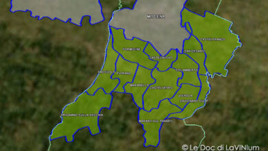 Lambrusco Grasparossa di Castelvetro