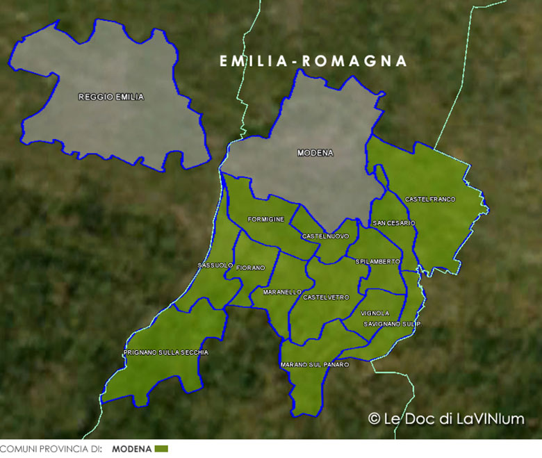 Lambrusco Grasparossa di Castelvetro