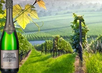 Vintage Sekt 2004 Schloss Gobelsburg