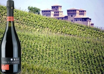 Lambrusco Frizzante Torcularia 2017