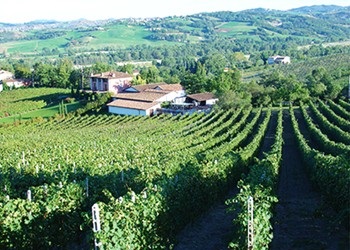 vigneti Carra di Casatico