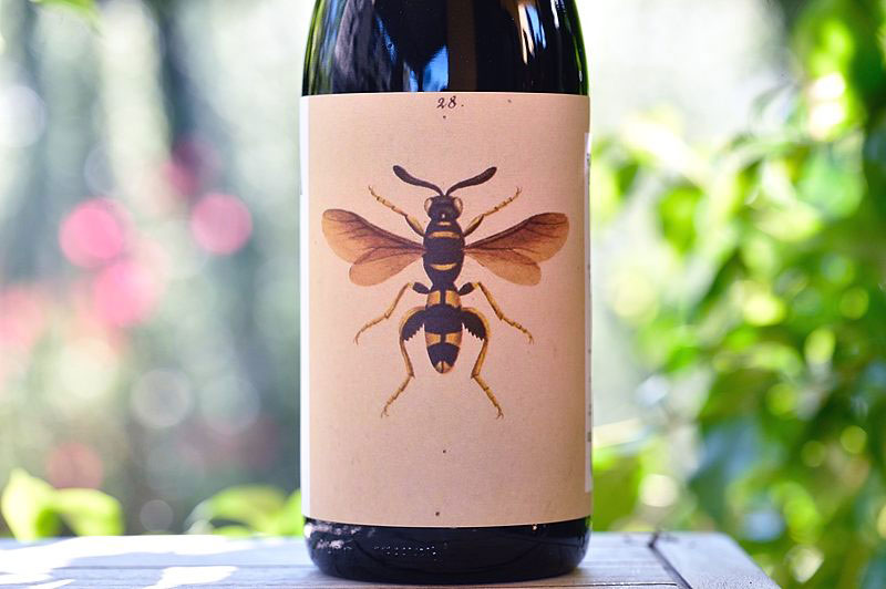 Romagna Sangiovese Predappio "Il Sangiovese" 2016 Noelia Ricci