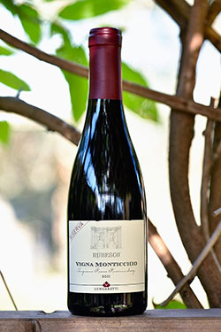 Torgiano Rosso Rubesco Vigna Monticchio Riserva 2011 Lungarotti