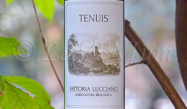 Tenuis Rosso 2014 Fattoria Lucciano