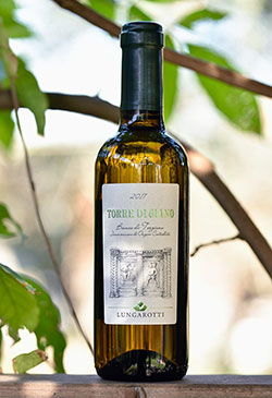 Torre di Giano 2017 Lungarotti