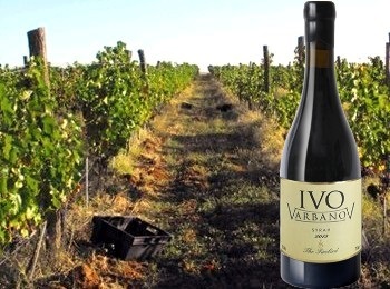 The Firebird 2013 Ivo Varbanov