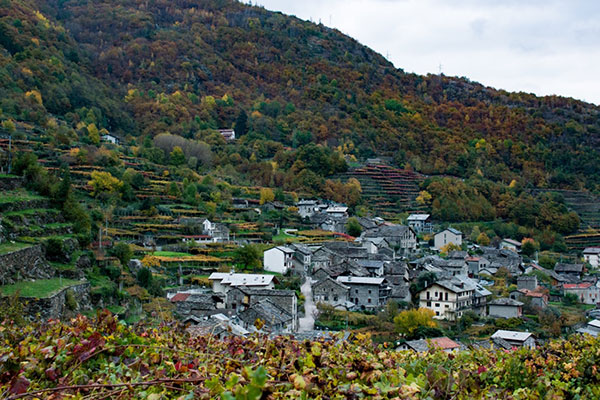 Vigneti a Carema