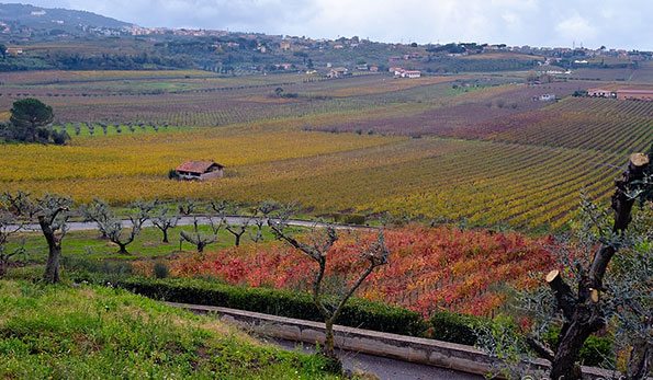 panorama dalla Tenuta di Pietra Porzia