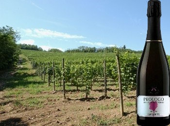 Colli Orientali Pinot Nero Prologo di Cantalfieri Brut Rosé 2007 Cantarutti Alfieri