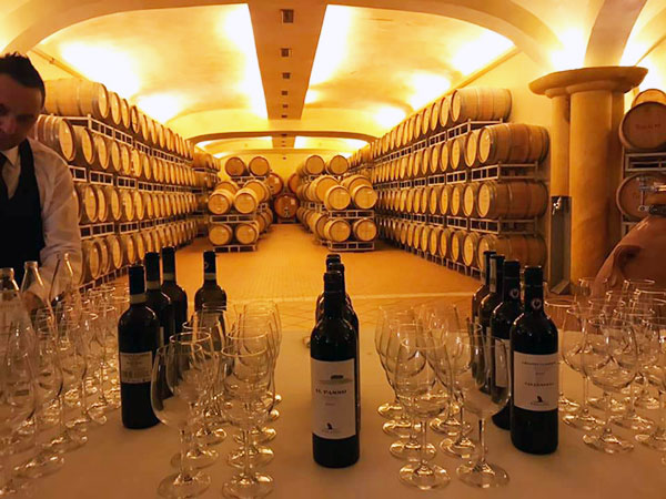 La cantina di Tolaini Winery