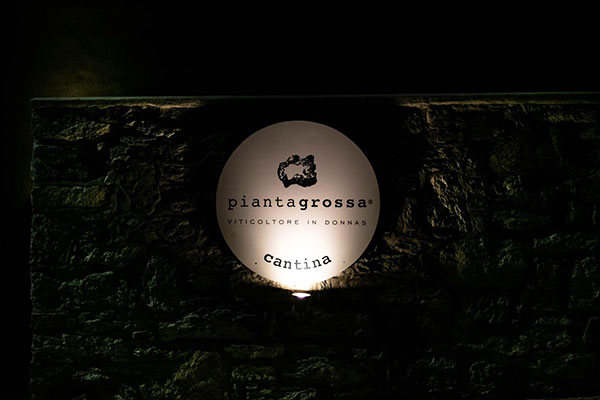 Logo azienda Piantagrossa