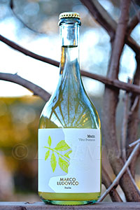 Marco Ludovico Matìn Bianco Frizzante 2017